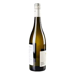 Вино iгристе Daniele Saccoletto Moscato EVViva, 0,75 л, 5% (707743) - мініатюра 3