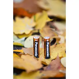 Батарейка Panasonic LR06 Alkaline Power x 2 (LR6REB/2BP) - мініатюра 5