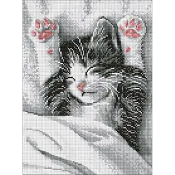 Алмазна мозаїка "Муркотливий ранок" art_selena_ua Ideyka AMO20204, 30х40 см