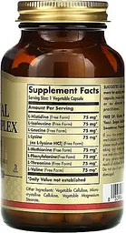 Амінокислотний комплекс Solgar Essential Amino Complex 90 капсул - мініатюра 2