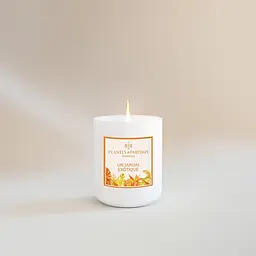 Ароматична свічка Plantes & Parfums Un Jardin Exotique 180 г - мініатюра 2