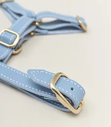 Шкіряна анатомічна шлея для собак "Classy" S блакитна (обхват грудини 34-48 см) - мініатюра 3
