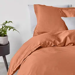 Набір наволочок Cosas Terrakot Cactus 50х70 см (SetPillow_Cactus_Terrakot_50х70) - мініатюра 4