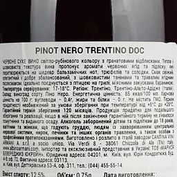 Вино Albino Armani Pinot Nero Trentino Santa Lucia DOC, червоне, сухе, 12,5%, 0,75 л - мініатюра 6