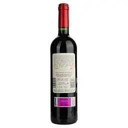 Вино Vina Curvada Ribera del Duero Tempranillo червоне сухе 0.75 л - мініатюра 2