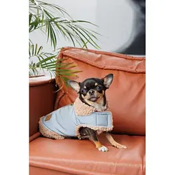Шлея-жилет Pet Fashion Rob для собак розмір S - мініатюра 5