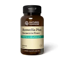 Босвелія Плюс НСП, 100 капсул | Boswellia Plus NSP