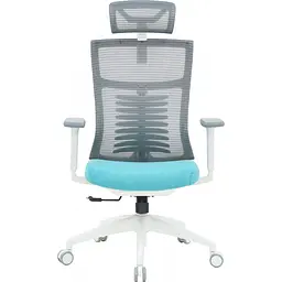 Офісне крісло OfficePro Balance OC550-W-DG-BL White/Dark Gray/Blue [148646]