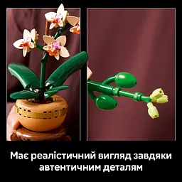 Конструктор LEGO Botanicals Міні орхідея 274 деталі (10343) - мініатюра 11