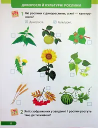 Я досліджую світ. Робочий зошит. 1 клас. Частина 2 - Лариса Мечник - мініатюра 9