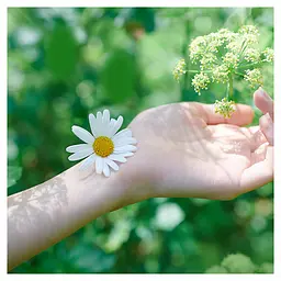 Гігієнічні прокладки Naturella Ultra Normal Plus, 18 шт. - мініатюра 4