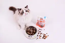 Ласощі для котів Brit Care Raw Treat Indoor & Antistress з куркою 40 г - мініатюра 3