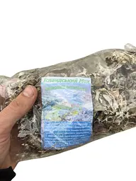 Ісландський мох, карпатський чай, фіточай - мініатюра 4