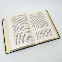 Книгоїди - Суньї Дін | Yakaboo Publishing, книга українською, нова, тверда - мініатюра 3