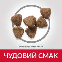 Сухий корм Hill's SP Kitten для котят та кішок у період вагітності та лактації, з куркою, 1,5 кг - мініатюра 4