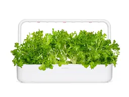 Змінний картридж Click & Grow Червоний дубовий салат 3 картриджі (3221) - мініатюра 3