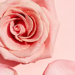 Міцелярна вода Garnier Skin Naturals з рожевою водою, 100 мл (C6392500) - мініатюра 8