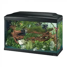 Акваріум Ferplast CAYMAN 80 PROFESSIONAL - 120 L 81.5 x 36 x h 52.5 cm