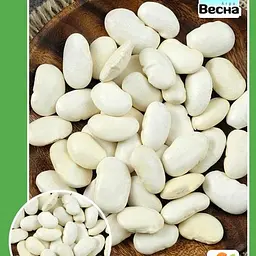Квасоля "Файний Ясь" (Великий пакет) ТМ "Весна" 5г (23632)