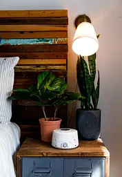 Генератор білого шуму з крильчаткою Dohm Classic 220 В (1107-02) - мініатюра 9