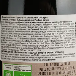 Вино ігристе Puianello Ancestrale Lambrusco dell'Emilia IGP Organic червоне сухе 0.75 л - мініатюра 4