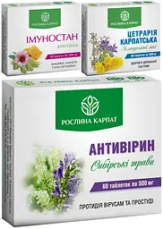 Програма при застуді, ГРЗ, ГРВІ, Антивірин, Цетрарія Карпатська, Імуностан, "Рослина Карпат" - мініатюра 1