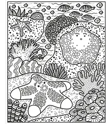 Розмальовка Coral Reef Magic Painting Book - Abigail Wheatley, англ. мова (9781474994743) - мініатюра 2