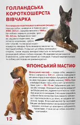 Велика книжка. Службові собаки - Олег Зав'язкин - мініатюра 5
