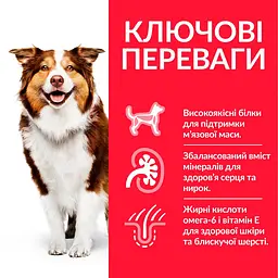 Сухий корм Hill's SP Can Mature Adult 7+ Medium C 2,5 кг для зрілого собаки 7+ середніх порід - мініатюра 3