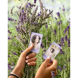 Фотопапір Fujifilm Instax Mini Soft Lavender Film 1x10 (16812376) [144752] - мініатюра 3
