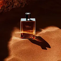 Туалетна вода Hermes Terre D'Hermes, 50 мл - мініатюра 4