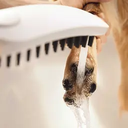 Ручний душ Hansgrohe DogShower 150 3Jet Matt White 26640700, Білий матовий - мініатюра 4