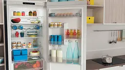Холодильник Indesit INFC9TI22W - мініатюра 11