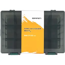Коробка Brain Organizer Box 497 28х17х10cm - мініатюра 4