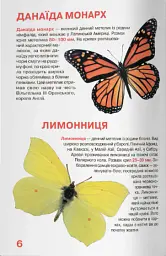 Велика книжка. Метелики - мініатюра 3