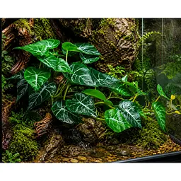 Штучна рослина Hobby Alocasia 2 40 x 20 см (37718) для тераріуму, акватераріуму та палюдаріуму - мініатюра 3