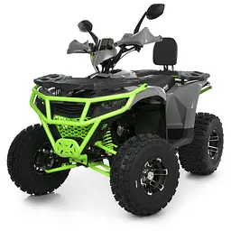 Квадроцикл бензиновий 150 см³ F/N/R до 85 кг (AX150-11-5)