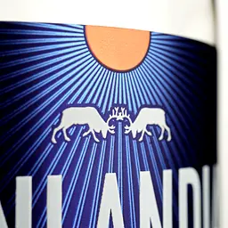 Упаковка горілки Finlandia 40% 8.4 л (0.7 л х 12 шт.) - мініатюра 4