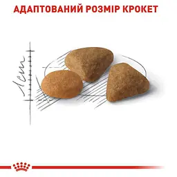 Сухий корм для дорослих котів вибагливих до харчування Royal Canin Exigent Savour, 2 кг - мініатюра 4
