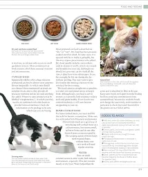 The Cat Encyclopedia - мініатюра 23