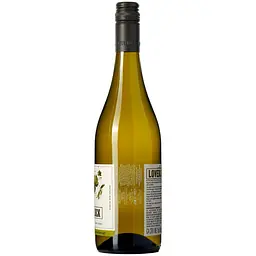 Вино Loveblock Sauvignon Blanc біле сухе 13.5% 0.75 л - мініатюра 4