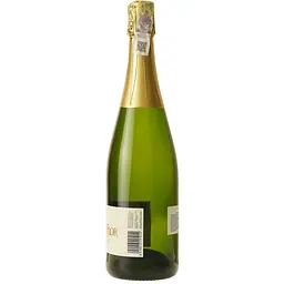 Вино ігристе Roger de Flor Cava Brut, біле, брют, 0,75 л - мініатюра 3