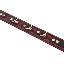 Нашийник із повідцем Liebe Seele Wine Red Leather Collar Leash and Lock бордовий - мініатюра 7