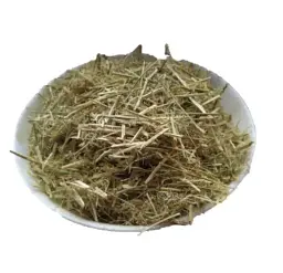 Буркун жовтий Трава Донник Melilotus officinalis