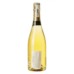 Уцінка. Вино ігристе Nadal Corpinnat Ramon Nadal Giro RGN біле брют 12% 0.75 л - мініатюра 4
