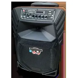 Акумуляторна акустична система XPRO A 12-8 колонка валіза 80Вт USB SD FM радіо Bluetooth 2 мікрофони ДК (A 12-8) - мініатюра 4