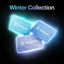 Криптогаманець Tangem 2.0 Wallet Shades of Winter Collection набір з 3 карток (TG-WINTER) - мініатюра 2