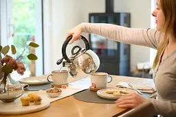 Tefal Чайник зі свистком Tefal Duetto+, 2.5л, нержавіюча сталь, сталевий, чорний - мініатюра 2