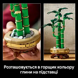 Конструктор LEGO Botanicals Бамбук щастя 325 деталей (10344) - мініатюра 9
