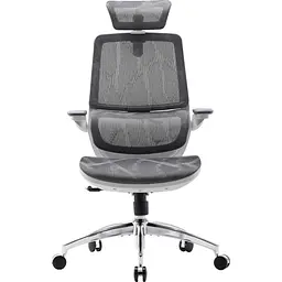 Офісне крісло Sihoo M59AS Mesh Gray (M59AS-M301)